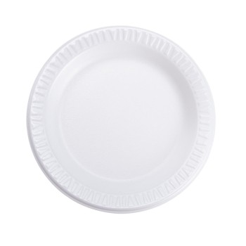 Foam Plate 10 no