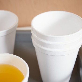 Foam Cup Ctn
